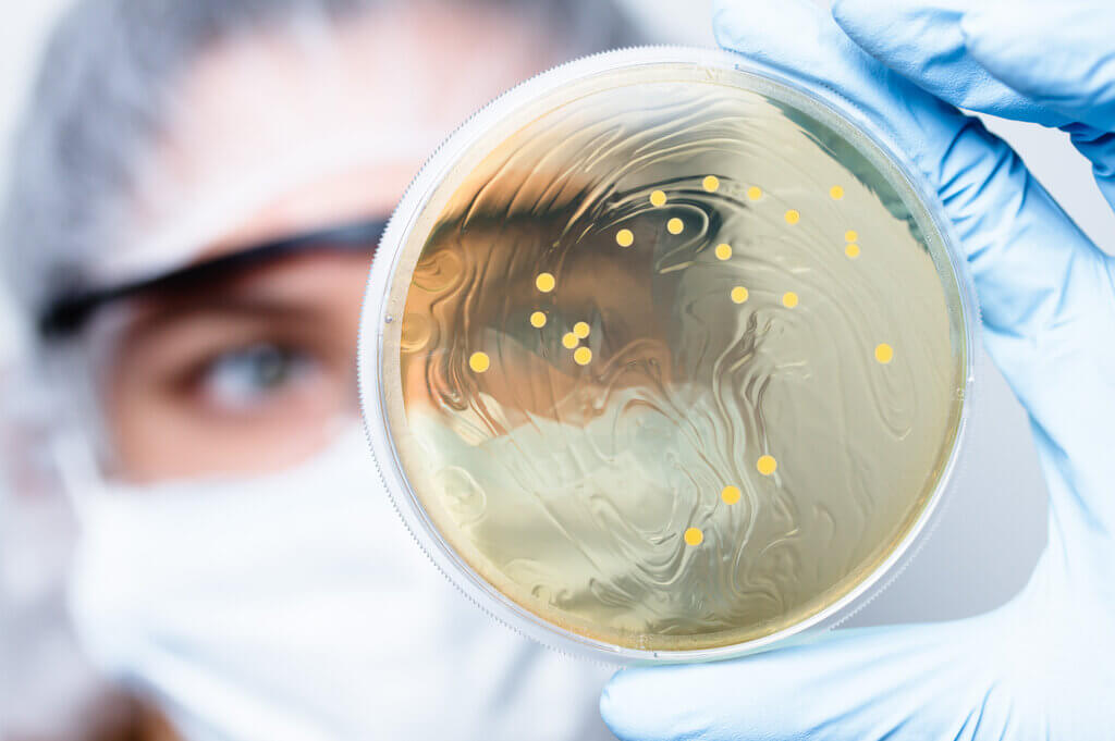 Gdzie jest najwięcej bakterii i jak długo żyją na przedmiotach?